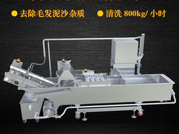 蔬菜清洗機(jī)，氣泡清洗，清洗800kg/小時(shí)