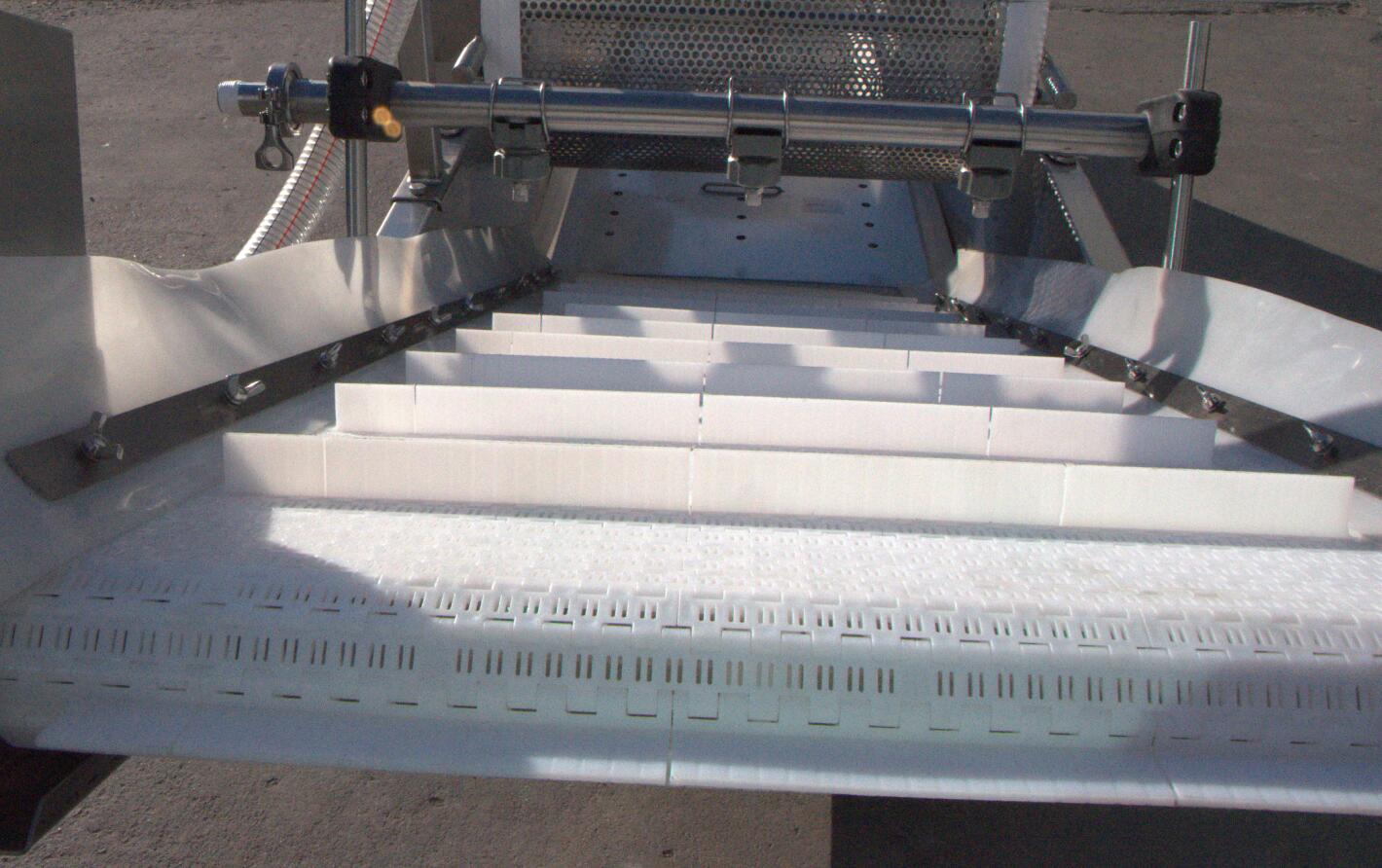 鴨腸的變身過(guò)程，讓你大跌眼驚